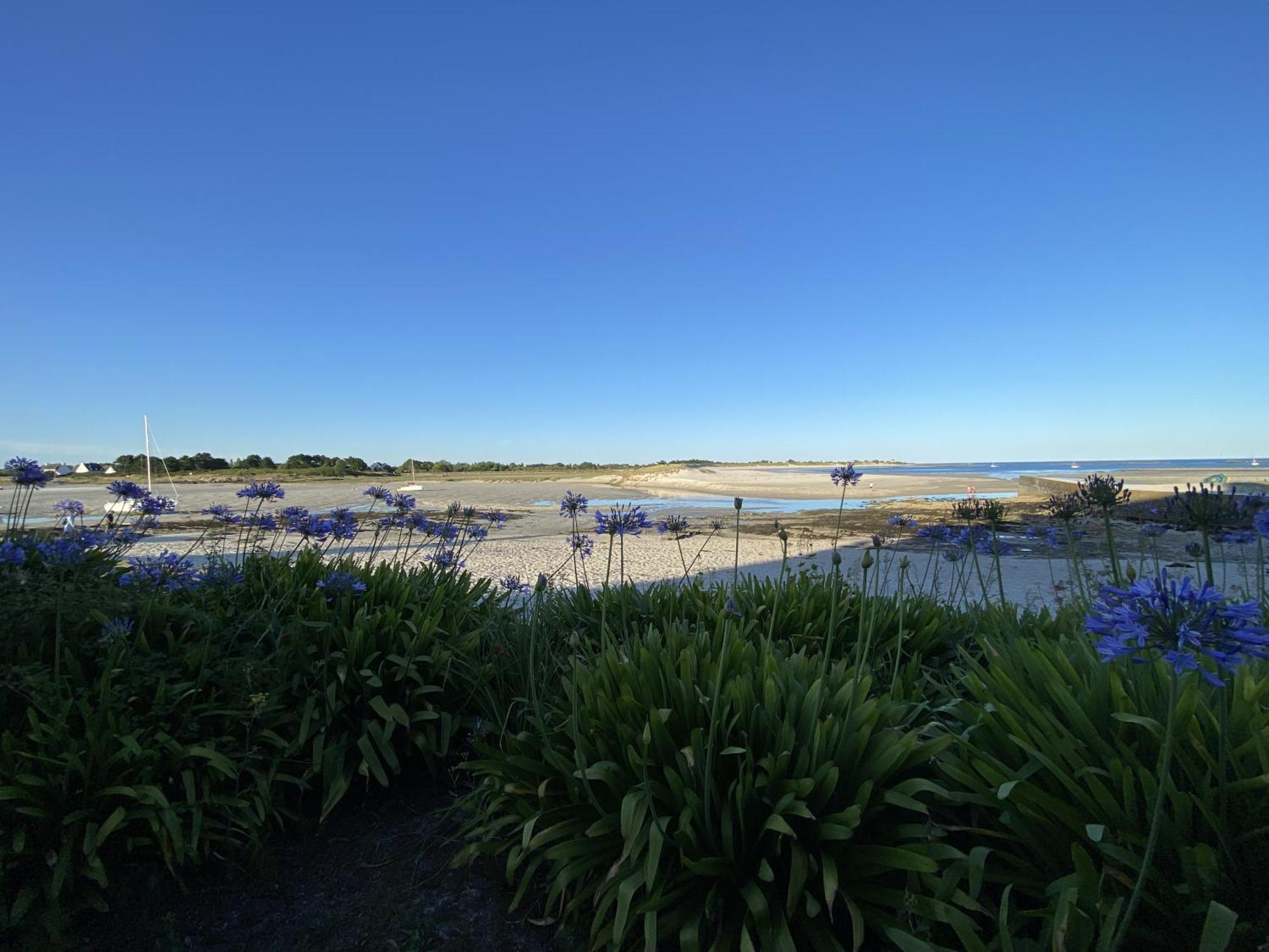 Villa Ster Et Mer Plobannalec-Lesconil Экстерьер фото